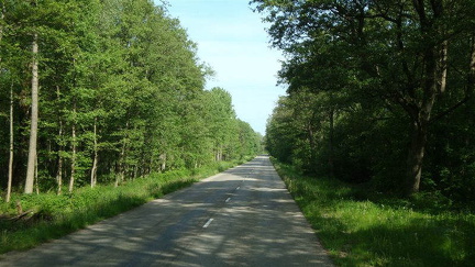hresw2dfllitauen039
