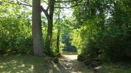 hresw2dfllitauen042
