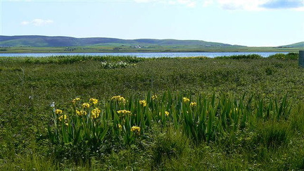 hresw2dflschottland0035