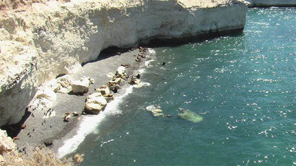 hresw2dflpatagonien043