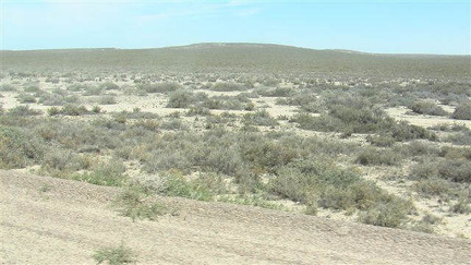 hresw2dflpatagonien041