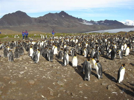 hresw2dflsuedgeorgien025