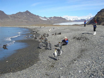 hresw2dflsuedgeorgien022