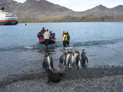 hresw2dflsuedgeorgien030