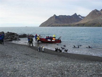 hresw2dflsuedgeorgien029